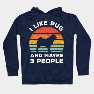 I Like Pug and Maybe 3 People, Retro Vintage Sunset with Style Old Grainy Grunge Texture Hoodie